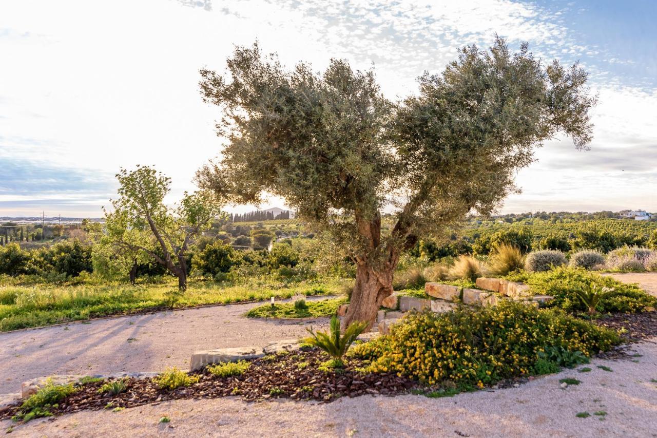 Villa Quinta Da Baleeira Tavira Exterior foto
